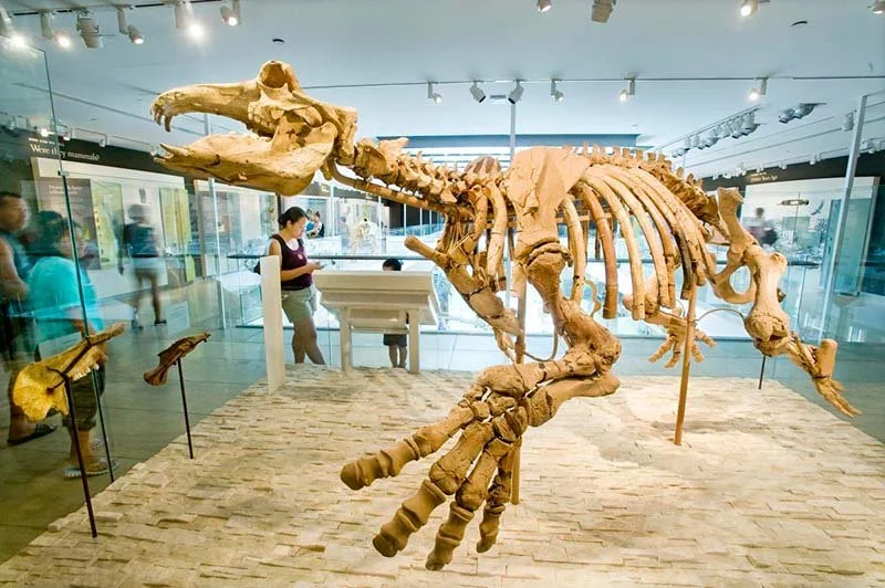 Orange County Museum of Indigenous Culture and Natural History — CCRPA